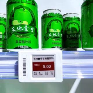 Rail de montage E-DT02 pour ESL